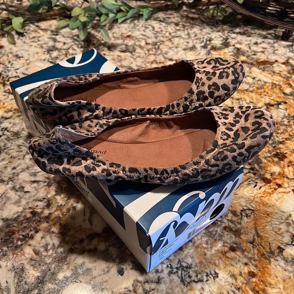 Lucky flats - Picture 2 of 4